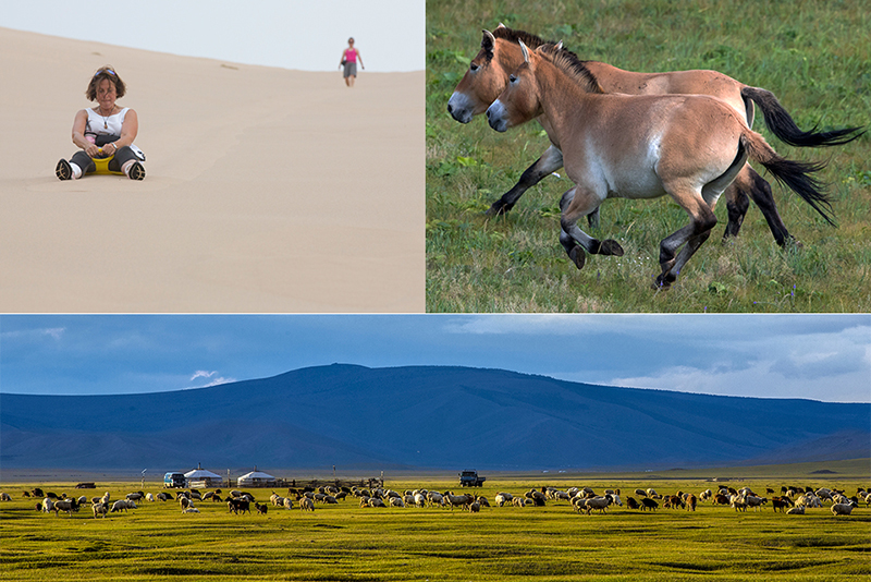 Events and Festivals in Mongolia 